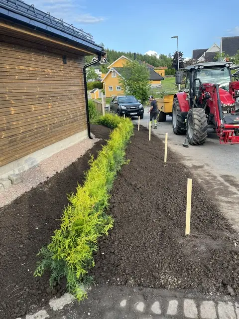 Samme vegg med nytt bed og plantet hekk