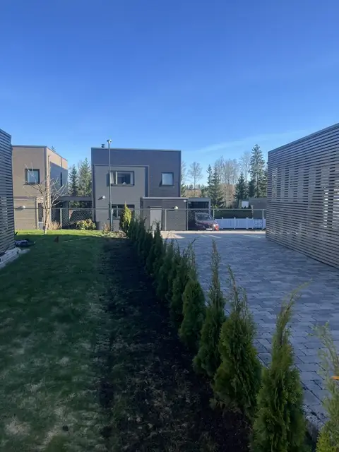 Nyplantet hekk langs en plass med belegningsstein