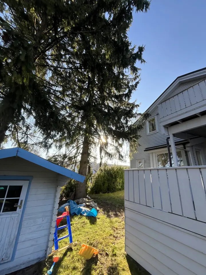 Stort tre tett ved en lekestue og et hus